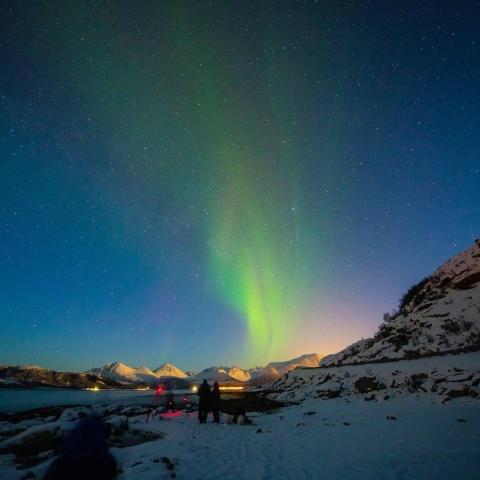 提供接送服务服務的專家一