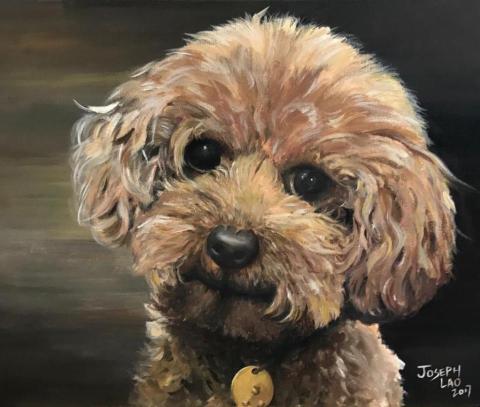 Joseph Lao - 寵物繪畫（Acrylics)