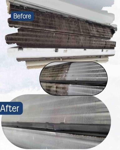 林小姐 - 對比圖