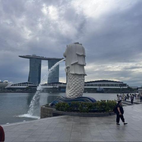 提供江苏南京想要找专业模特商务酒局女南京专业模特️baoyang bond服務的專家Z