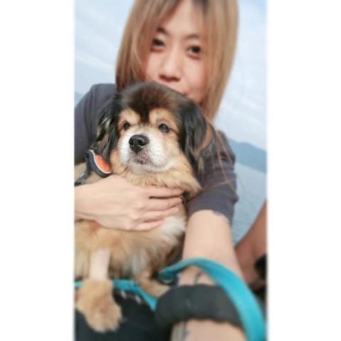 提供策划公司服務的專家毛寶貝工坊