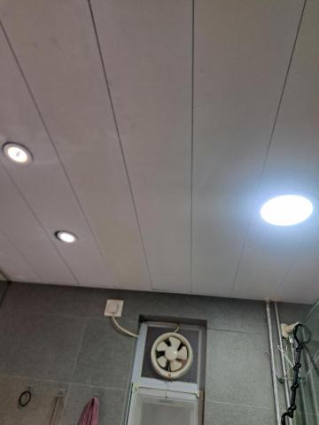 Tsz Yat Angus Ng - 廁所安裝新LED射燈及吸頂燈