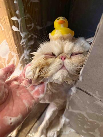 十年資深義工 半公益美容護理 - 