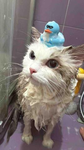 十年資深義工 半公益美容護理 - 