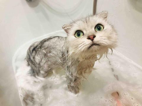 十年資深義工 半公益美容護理 - 