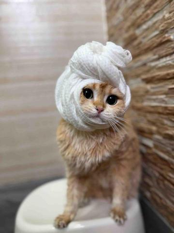 十年資深義工 半公益美容護理 - 