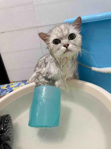 十年資深義工 半公益美容護理 - 