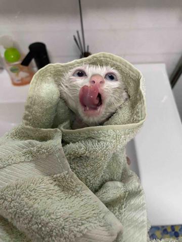 十年資深義工 半公益美容護理 - 