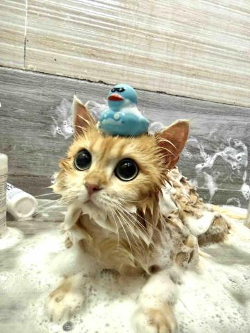 十年資深義工 半公益美容護理 - 