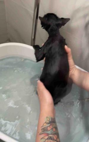 十年資深義工 半公益美容護理 - 