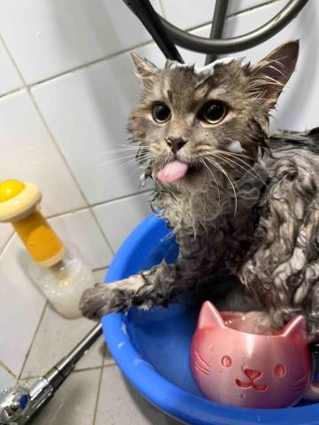 十年資深義工 半公益美容護理 - 