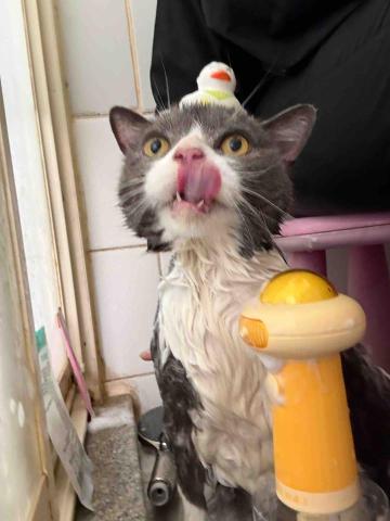 十年資深義工 半公益美容護理 - 