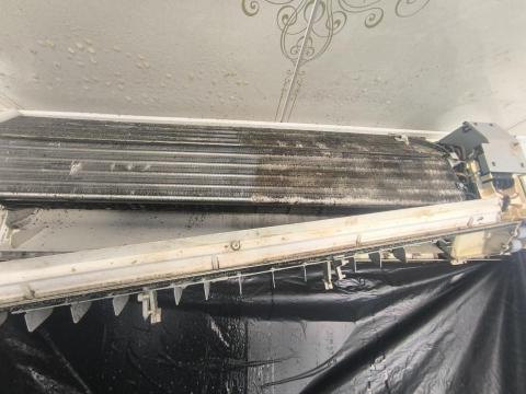 24 electricengineer&accleaners - 