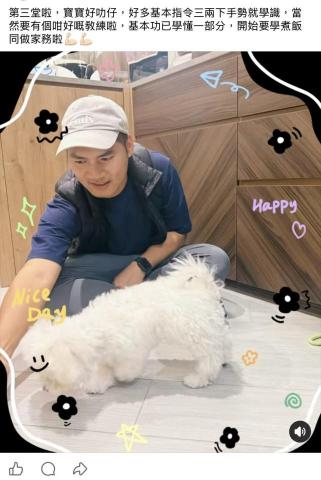 dannis lee - 幼犬基礎行為建立