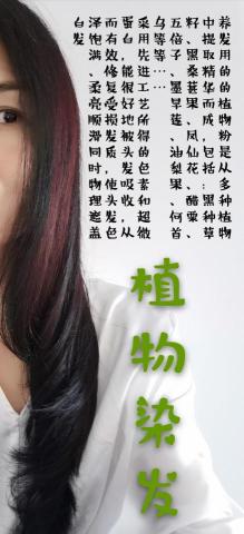 亮麗 - 