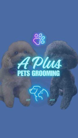 A Plus Pets Grooming - specialize in Pet Boarding