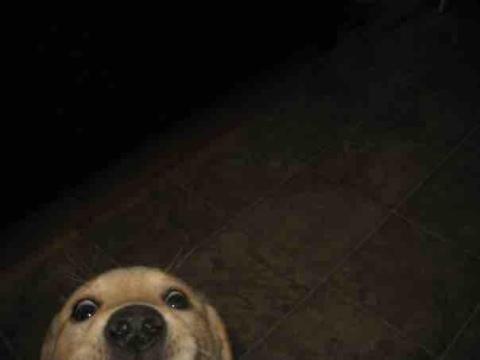 S Y