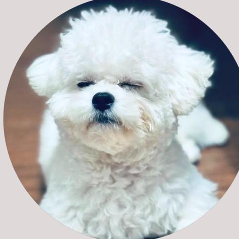 NANAPETPETCARE