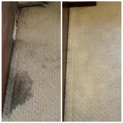 Green Tech Cleaning Specialist - 